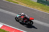 cadwell-no-limits-trackday;cadwell-park;cadwell-park-photographs;cadwell-trackday-photographs;enduro-digital-images;event-digital-images;eventdigitalimages;no-limits-trackdays;peter-wileman-photography;racing-digital-images;trackday-digital-images;trackday-photos
